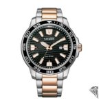 reloj-citizen-of-collection-AW1524-84E